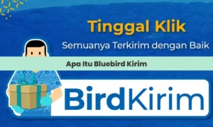 Apa Itu Bluebird Kirim