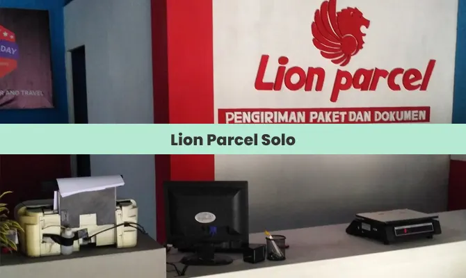 Lion Parcel Solo