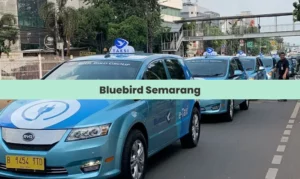 bluebird semarang