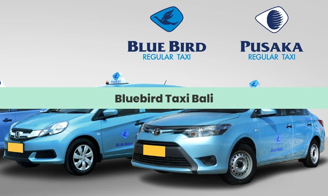 bluebird taxi bali