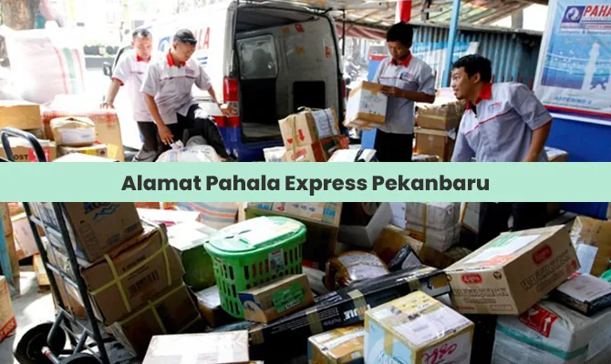 Alamat Pahala Express Pekanbaru