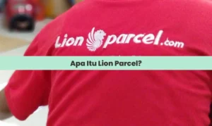 Apa Itu Lion Parcel