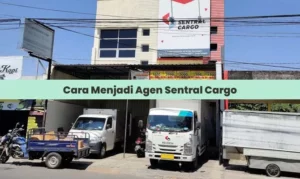 Cara Menjadi Agen Sentral Cargo