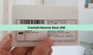 Contoh Nomor Resi JNE