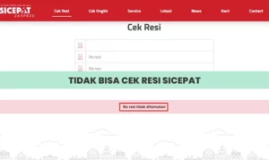 Tidak Bisa Cek Resi SiCepat