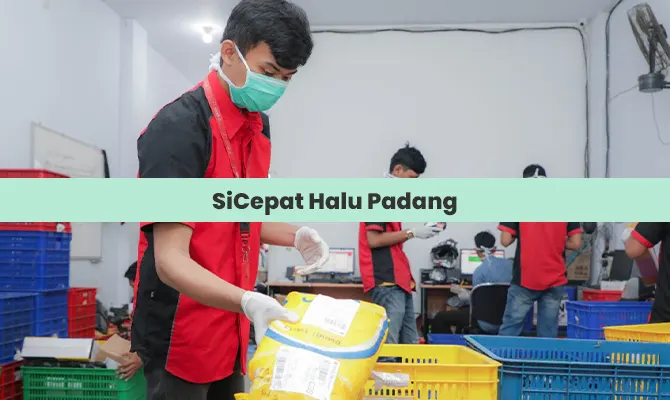 SiCepat Halu Padang Alamat, Jam Operasional & No Telepon